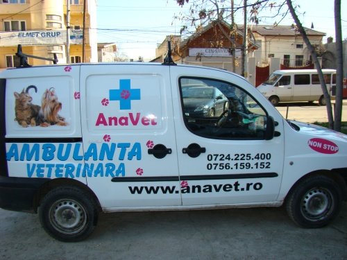 Ana Vet - cabinet veterinar